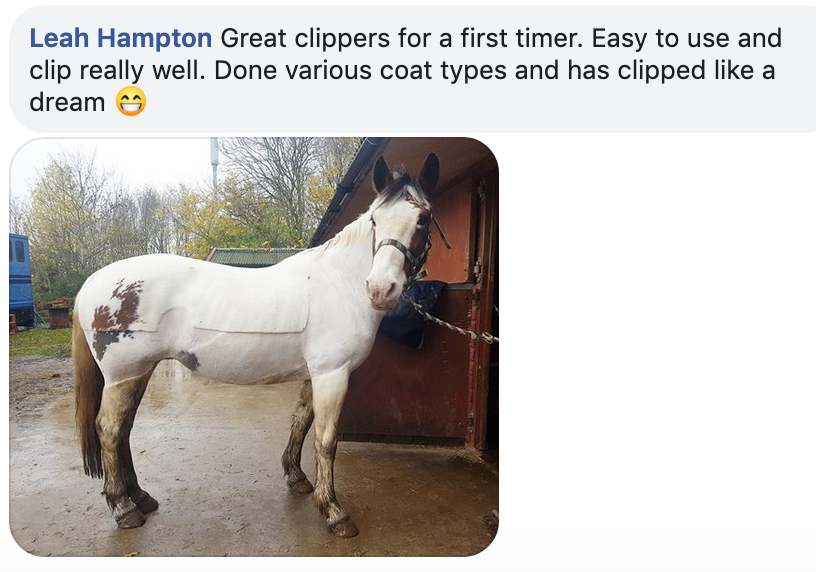 horse clippers cordless uk